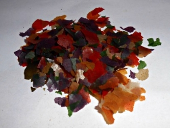 DSCN4792