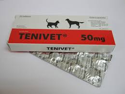 Tenivet