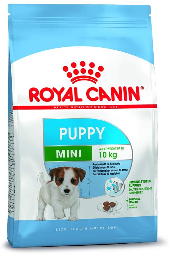 r.c mini puppy