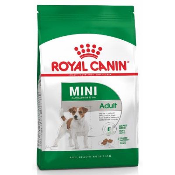 rc mini adult 2kg